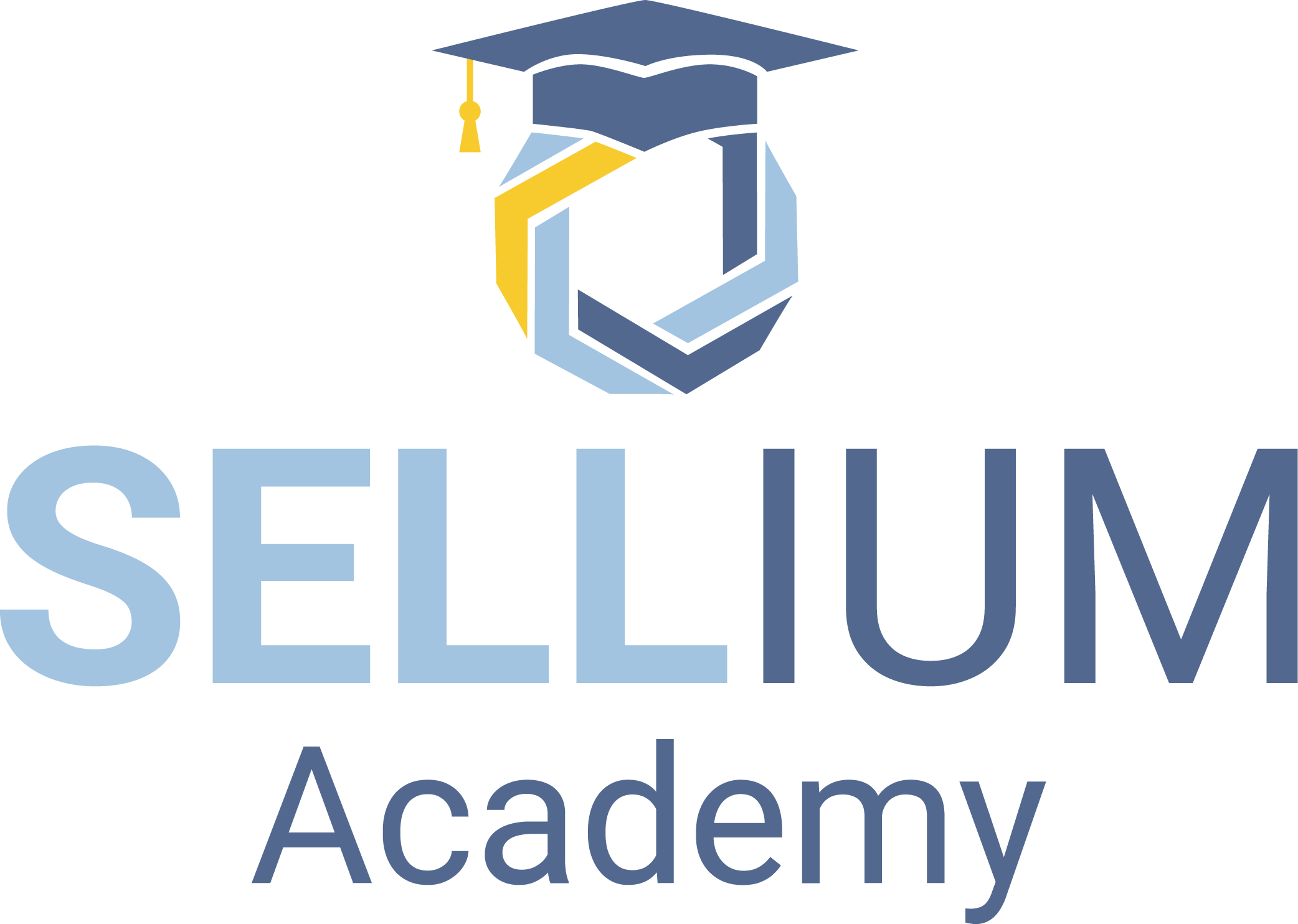 Sellium Academy